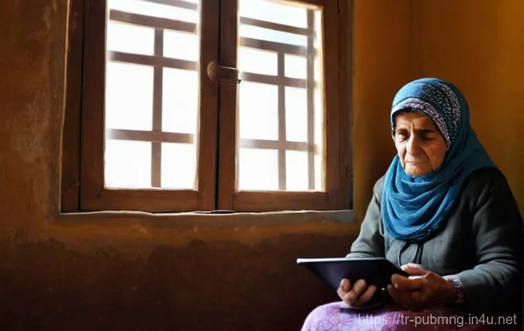 공공관리사 업무 중 자주 겪는 문제 - **Digital Divide in Public Services:**
A poignant image illustrating the digital divide in Turke...
