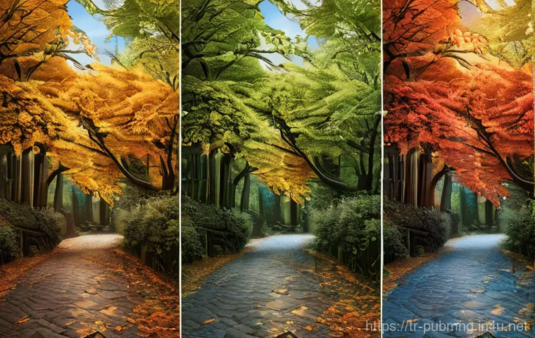 공공관리사 자격증 취득 후의 장기적 성장 가능성 - Here are three image prompts in English, designed to be detailed and adhere to the specified guideli...
