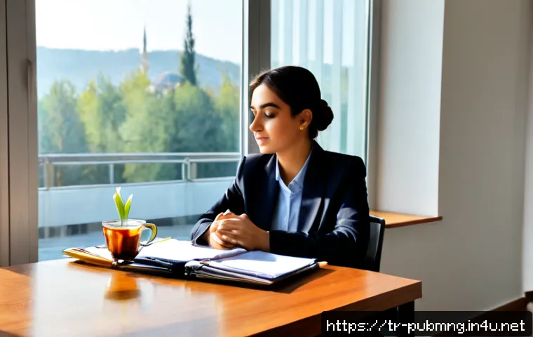 공공관리사 직무 스트레스를 해소하는 방법 - Photorealistic Turkish public administration professional in a neat modern office in Ankara, taking ...